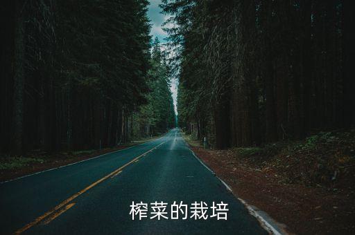 榨菜種植用什么農(nóng)藥,種植香蕉需要什么農(nóng)藥
