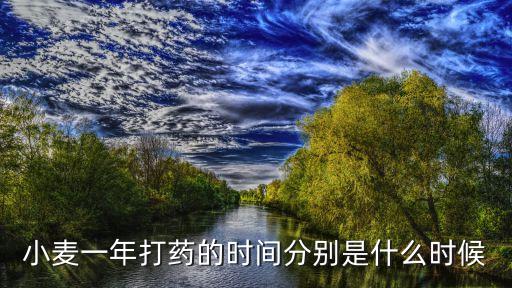 什么時(shí)候麥子地里打農(nóng)藥,野麥子什么時(shí)候打最合適