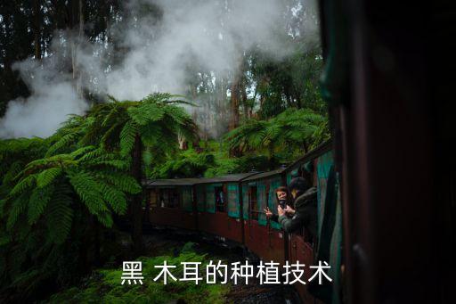 黑 木耳的種植技術