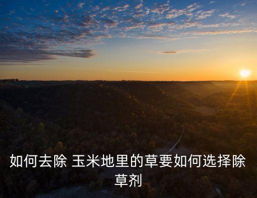 如何去除 玉米地里的草要如何選擇除草劑