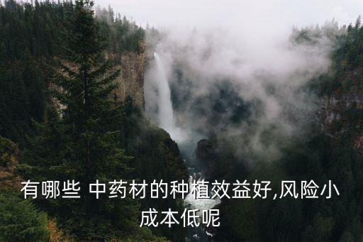 種什么中藥不用管理的農(nóng)藥,種植什么中藥不用管理