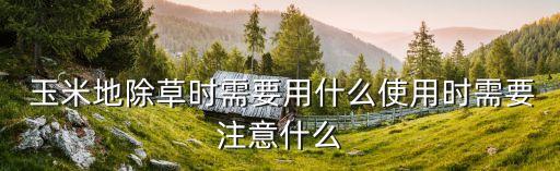  玉米地除草時需要用什么使用時需要注意什么