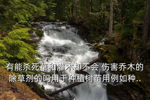 有能殺死草和灌木卻不會 傷害喬木的除草劑的嗎用于種植樹苗用例如種...