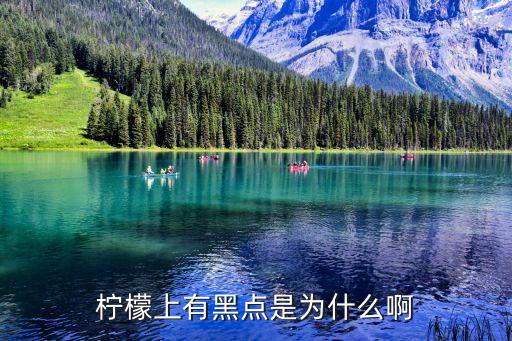 檸檬上有黑點是為什么啊