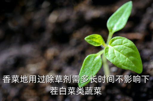 香菜地用過除草劑需多長時間不影響下茬白菜類蔬菜