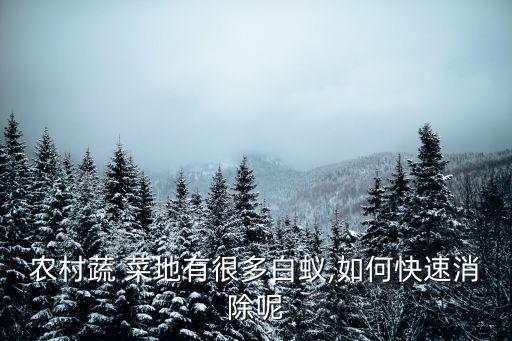 農(nóng)村蔬 菜地有很多白蟻,如何快速消除呢