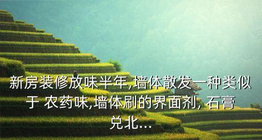 新房裝修放味半年,墻體散發一種類似于 農藥味,墻體刷的界面劑, 石膏兌北...