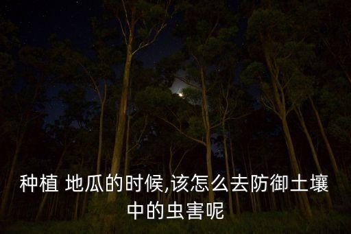地瓜種用什么農藥,種地瓜什么時間種最好