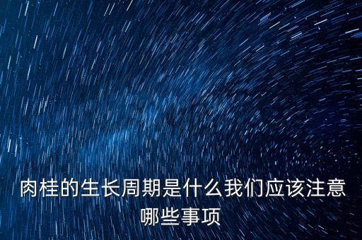  肉桂的生長周期是什么我們應該注意哪些事項