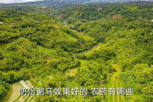 農(nóng)藥有個什么樂果的藥名,用什么農(nóng)藥可以代替樂果