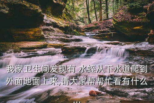 水蛭池殺蟲用什么農藥好