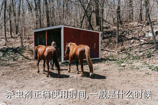 殺蟲(chóng)劑正確使用時(shí)間,一般是什么時(shí)候