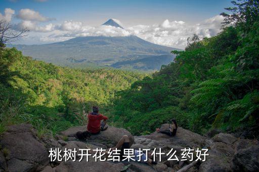 桃子做過后打什么農藥,什么節過后桃子成熟