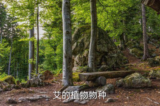 碧艾農(nóng)藥成分是什么