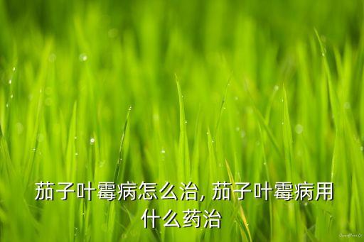  茄子葉霉病怎么治, 茄子葉霉病用什么藥治