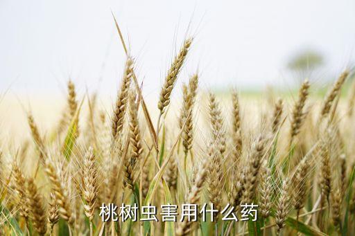  桃樹蟲害用什么藥