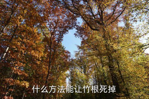 用什么農藥噴死竹子,有沒有什么農藥可以殺死竹子