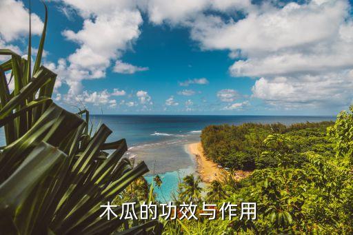 木瓜的功效與作用