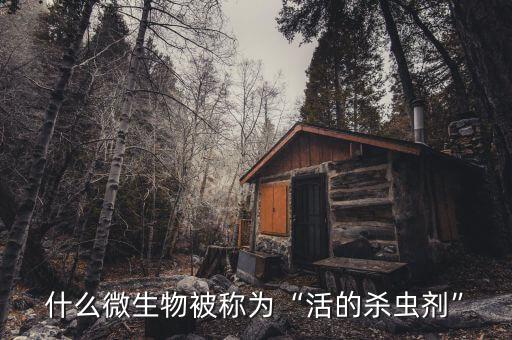 什么是蟲桿菌農藥,短穩桿菌屬于什么農藥