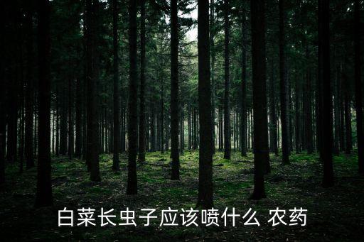 白菜長蟲子應該噴什么 農藥