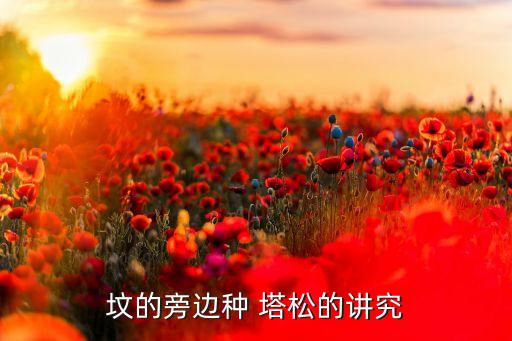 塔松最怕什么農(nóng)藥
