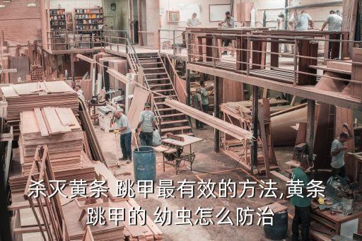 殺滅黃條 跳甲最有效的方法,黃條 跳甲的 幼蟲怎么防治