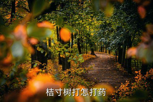 桔子六月打什么農(nóng)藥,桔子會(huì)不會(huì)打農(nóng)藥