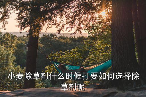 小麥除草劑什么時候打要如何選擇除草劑呢