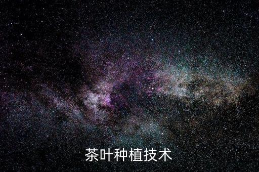 茶葉種植技術(shù)