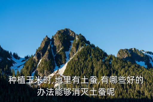 種植玉米時,地里有土蠶,有哪些好的辦法能夠消滅土蠶呢