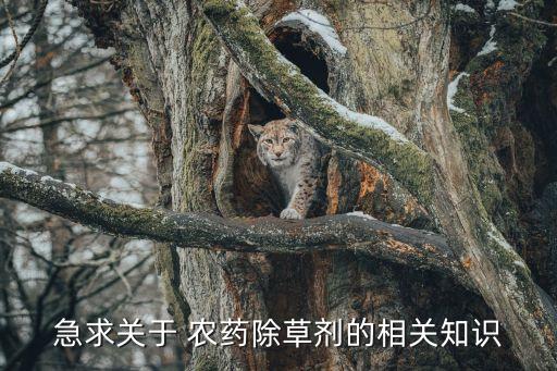急求關于 農藥除草劑的相關知識