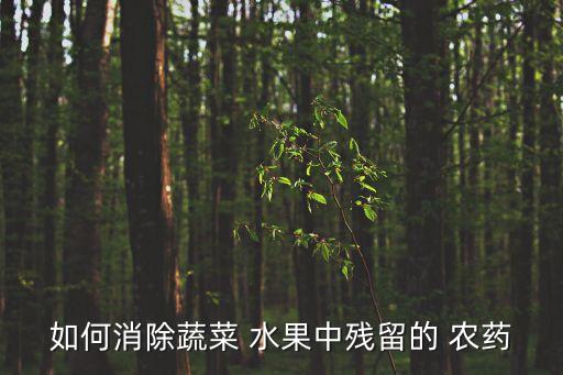 如何消除蔬菜 水果中殘留的 農藥
