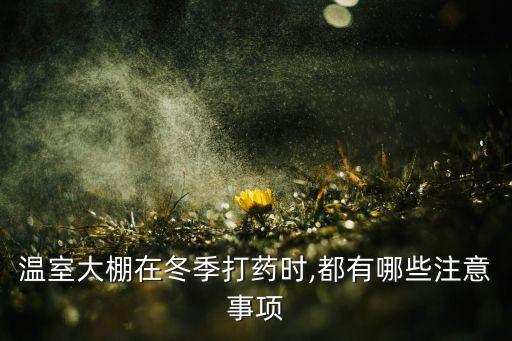 溫室大棚在冬季打藥時,都有哪些注意事項