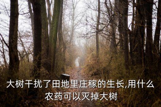 什么農(nóng)藥不傷根系發(fā)達(dá)的樹