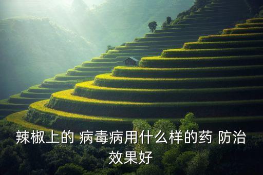 辣椒上的 病毒病用什么樣的藥 防治效果好