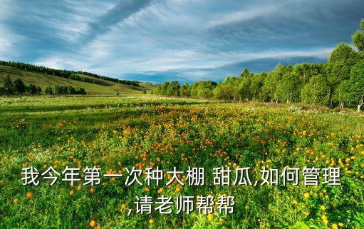 我今年第一次種大棚 甜瓜,如何管理,請老師幫幫