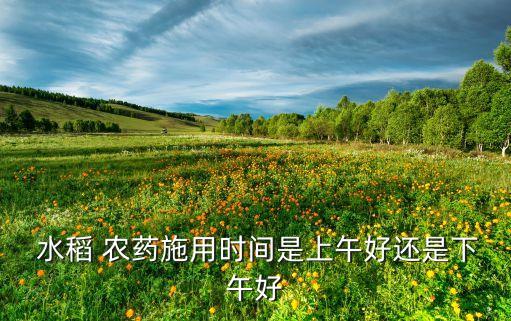 小麥和水稻是什么時候開始播種的,水稻小麥什么時候打農藥好