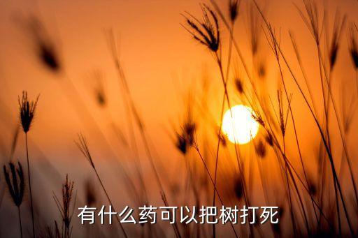 有什么藥可以把樹打死