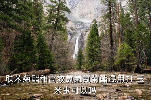 聯苯菊酯和高效氯氟氰菊酯混用打 玉米蟲可以嗎