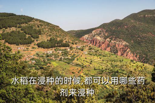 水稻最后一次打什么農藥,水稻中期用什么農藥好
