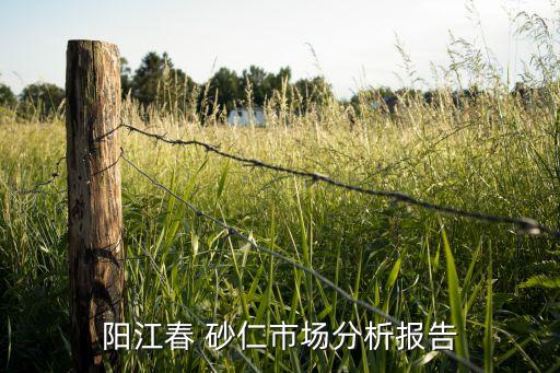 陽江春 砂仁市場分析報告