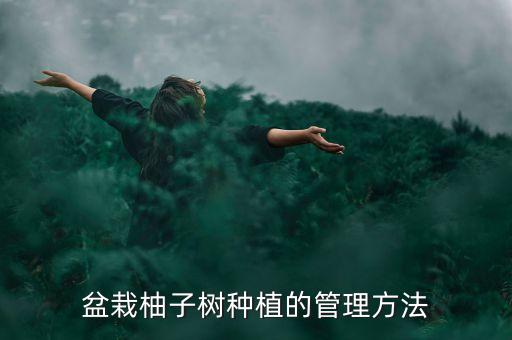 毛家柚樹用什么農藥
