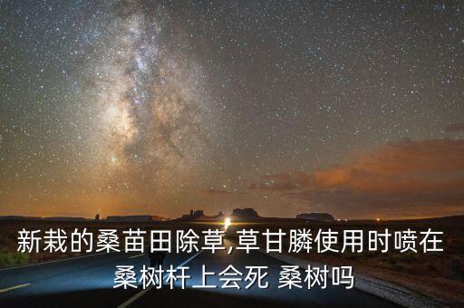 什么農藥可以殺死桑樹,桑樹打什么農藥