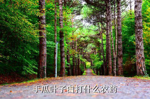 ,佛手瓜葉子白打什么農(nóng)藥
