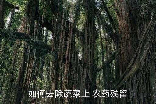 如何去除蔬菜上 農藥殘留