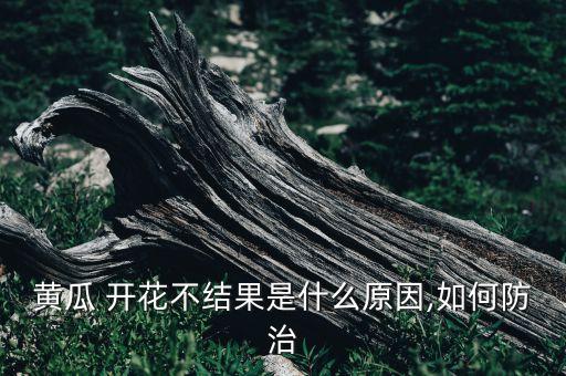 黃瓜 開花不結果是什么原因,如何防治