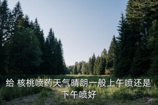 給 核桃噴藥天氣晴朗一般上午噴還是下午噴好
