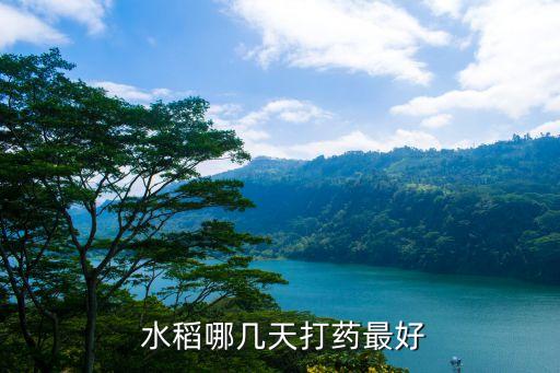  水稻哪幾天打藥最好