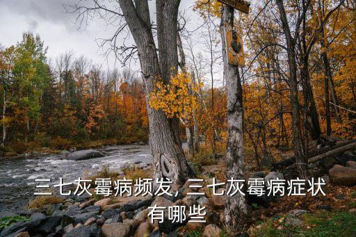 ,三七白斑病打什么農藥