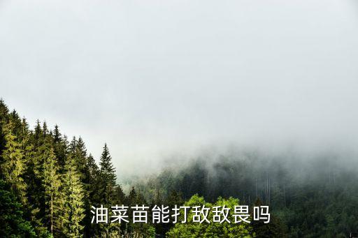油菜上打什么農(nóng)藥好呢圖片